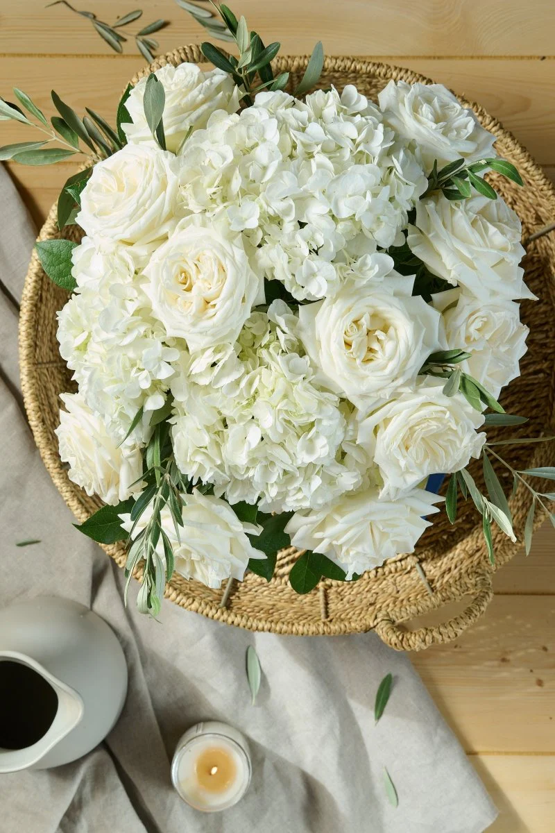 Ivory - Image 24