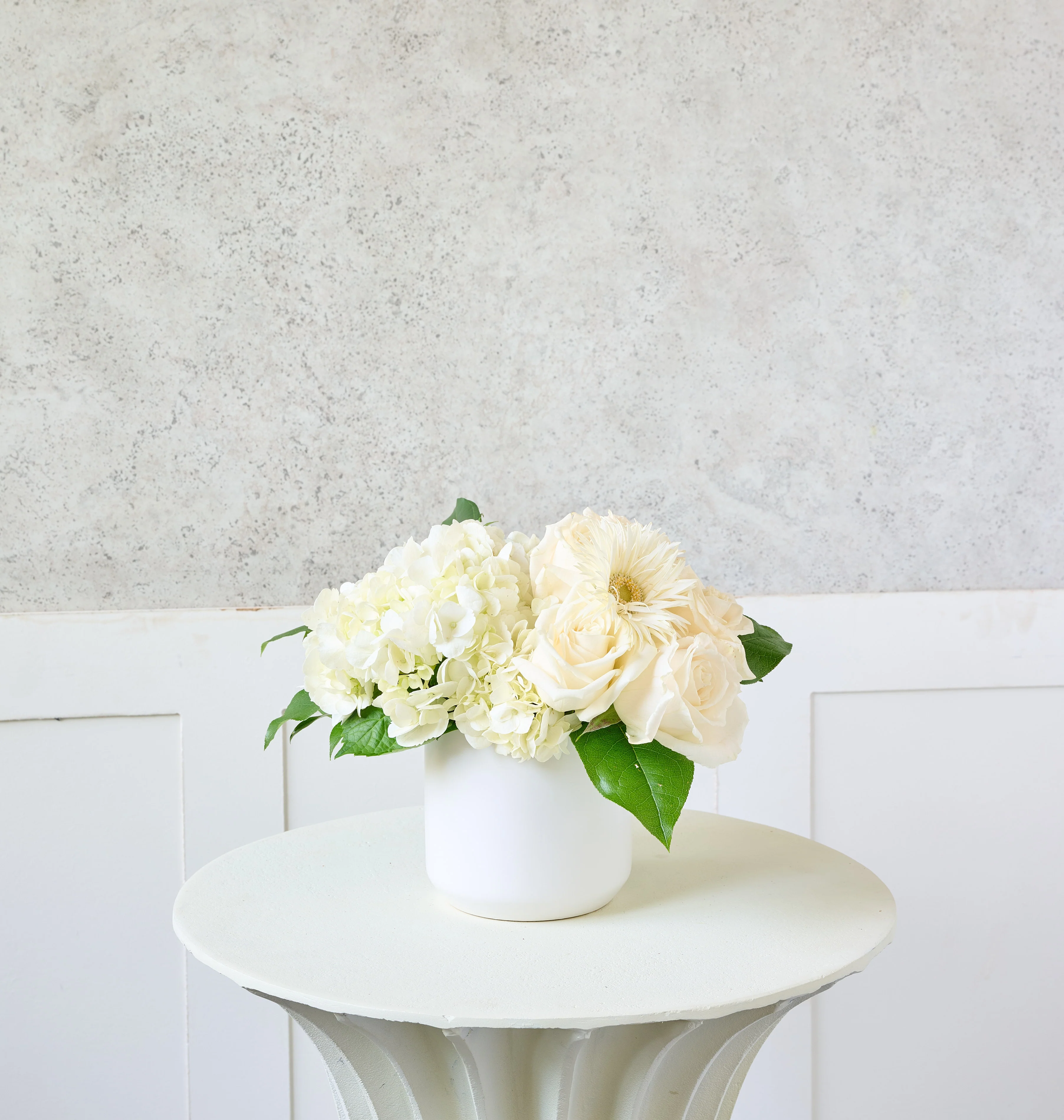 Ivory - Image 33
