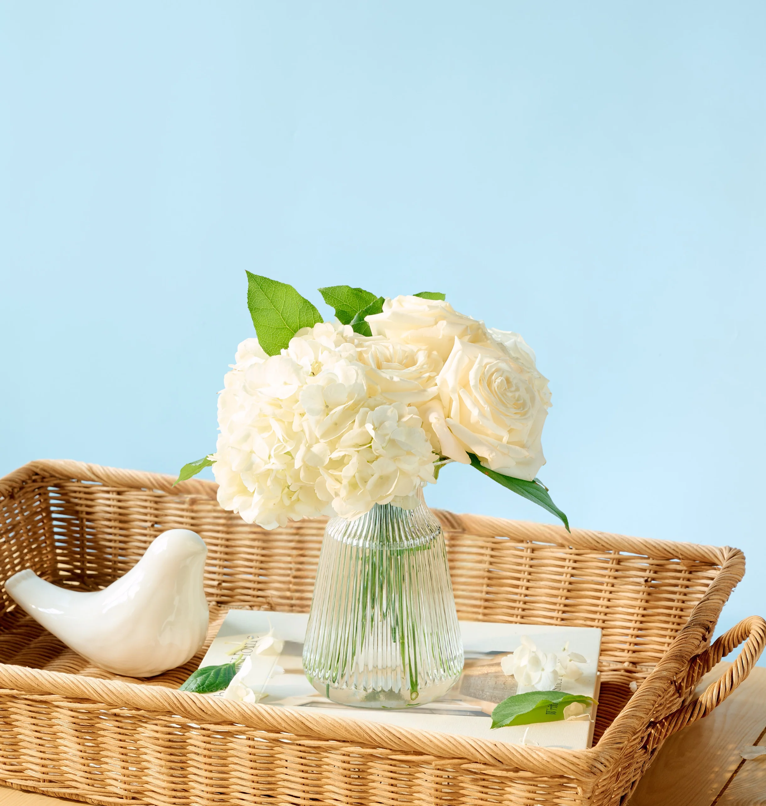 Ivory - Image 39