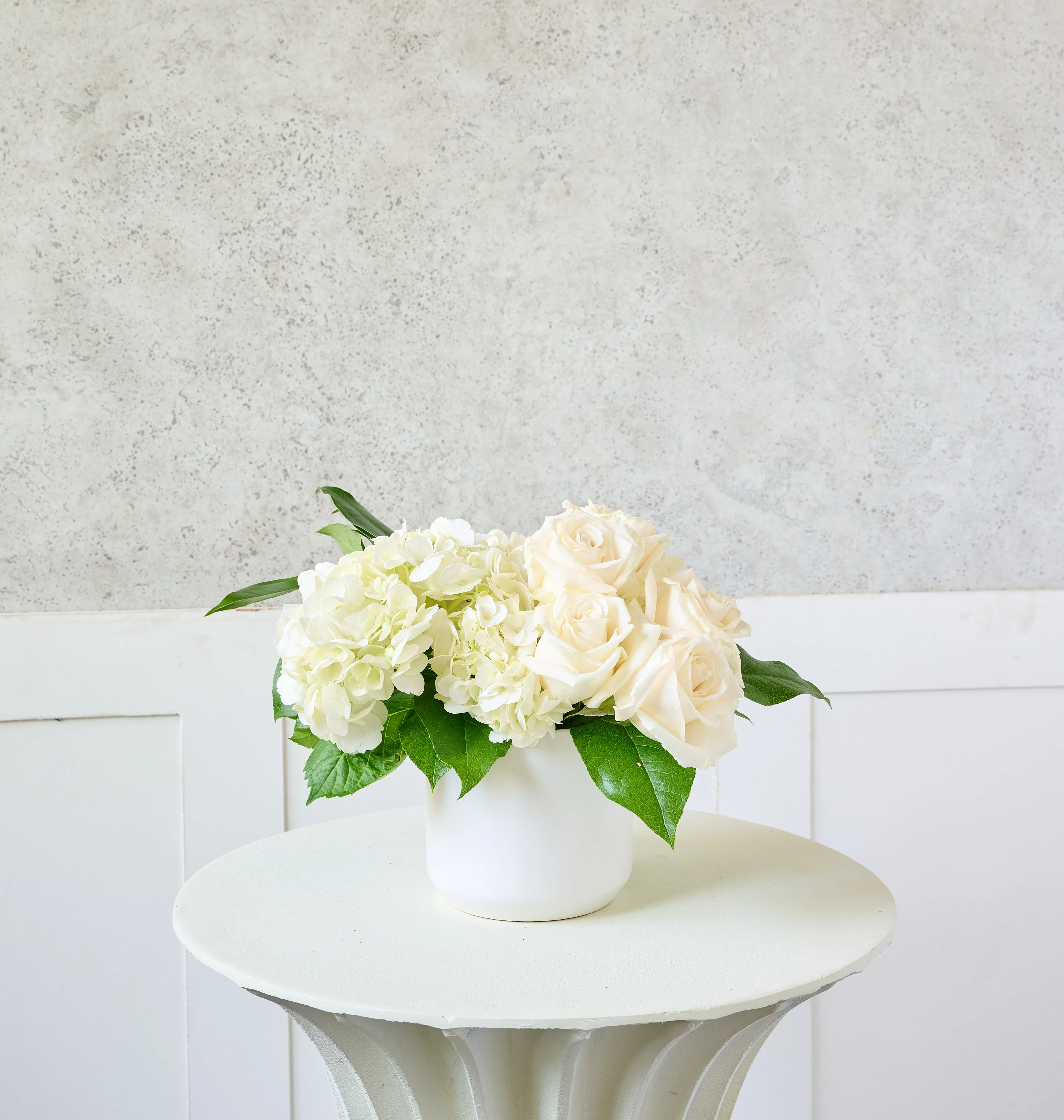 Ivory - Image 5