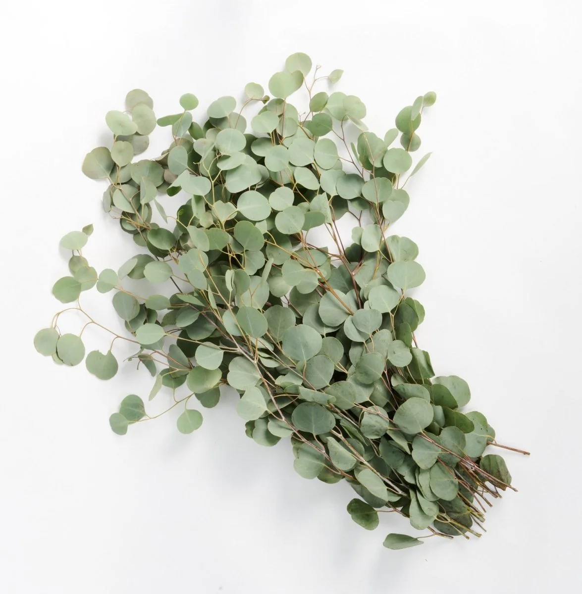 Loose Greenery - Image 2