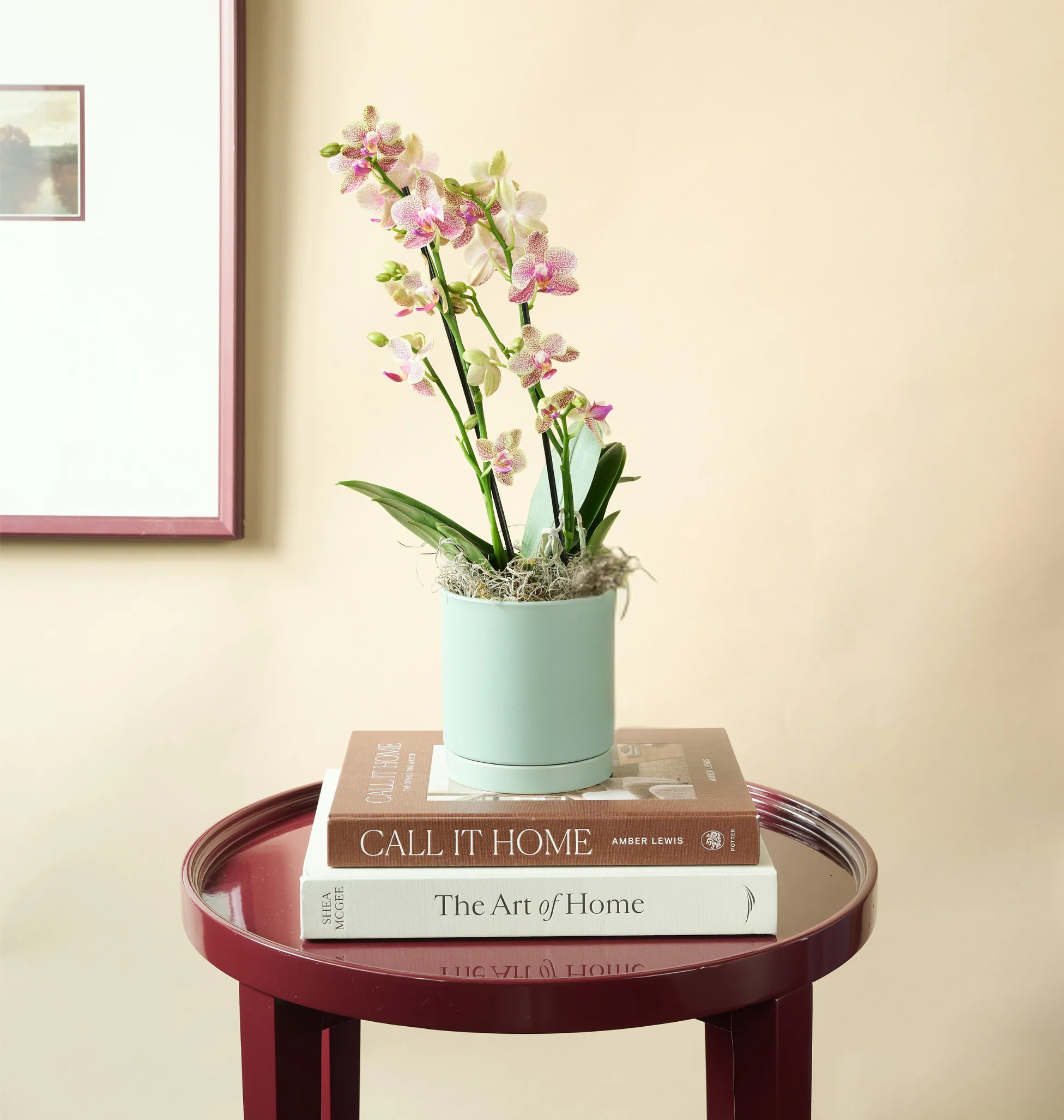 Mini Orchid - Image 10