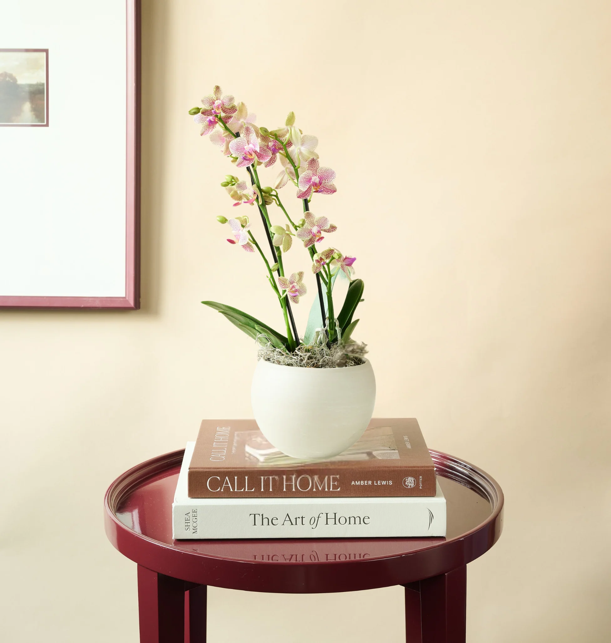 Mini Orchid - Image 11