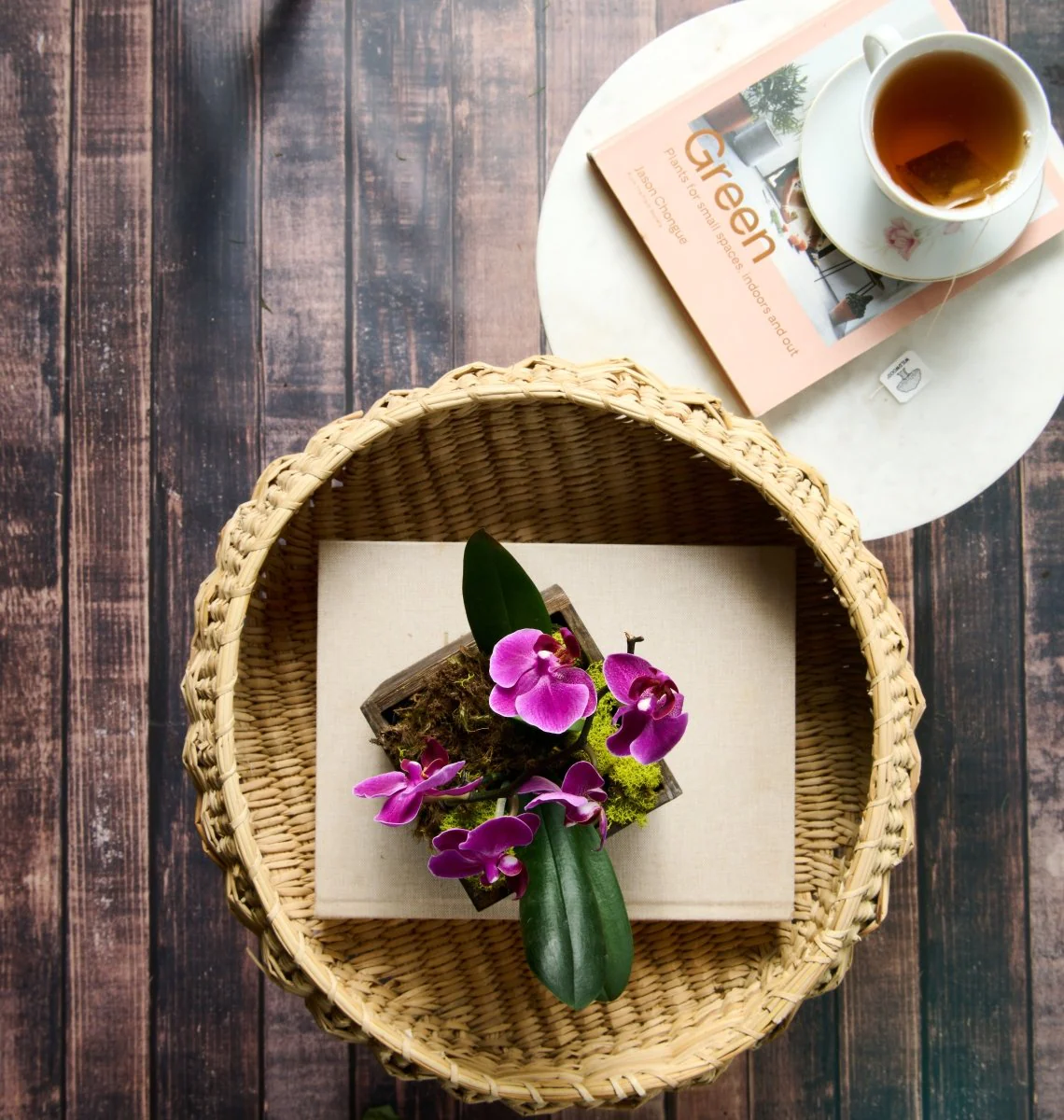 Mini Orchid - Image 14
