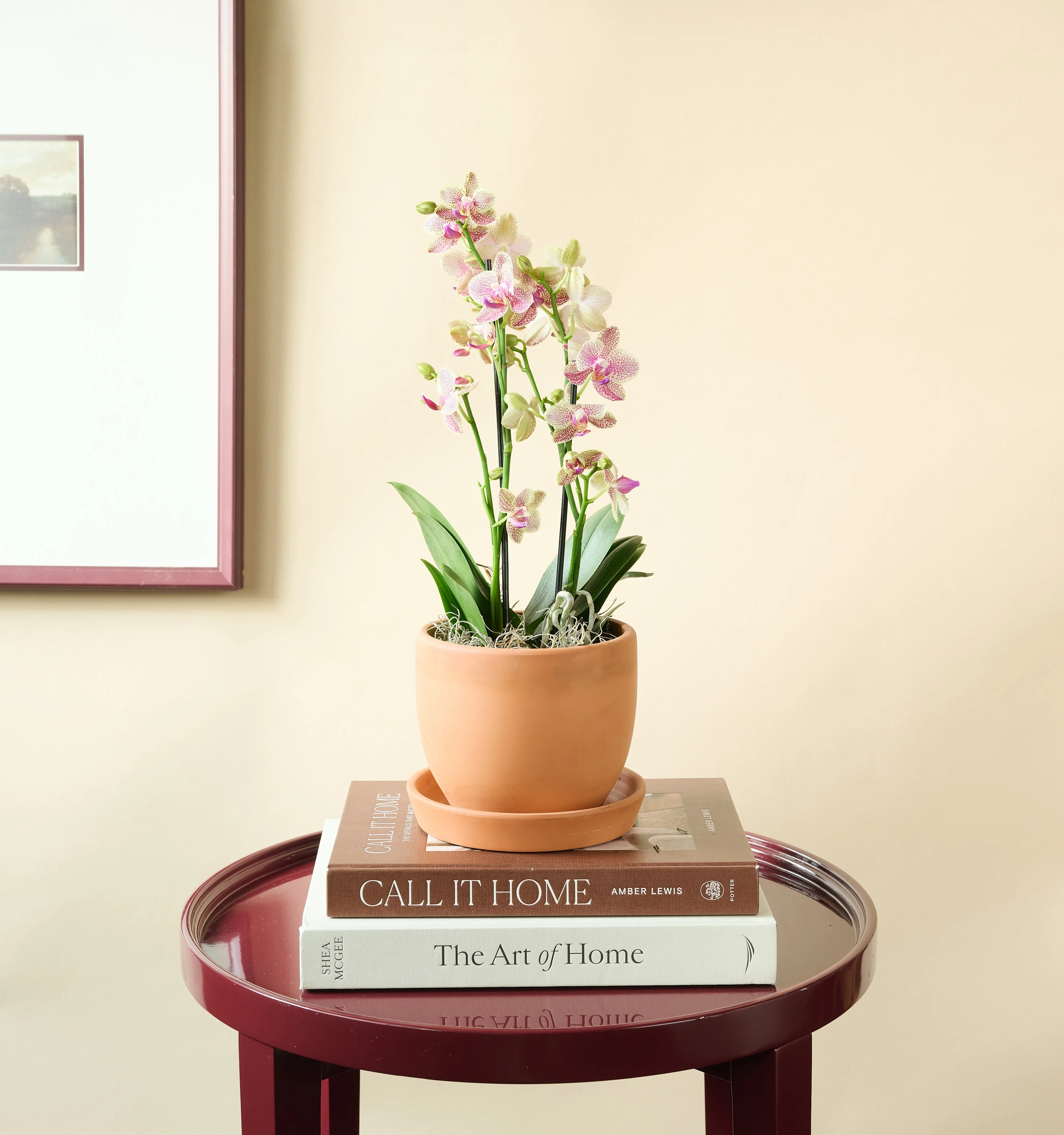 Mini Orchid - Image 21