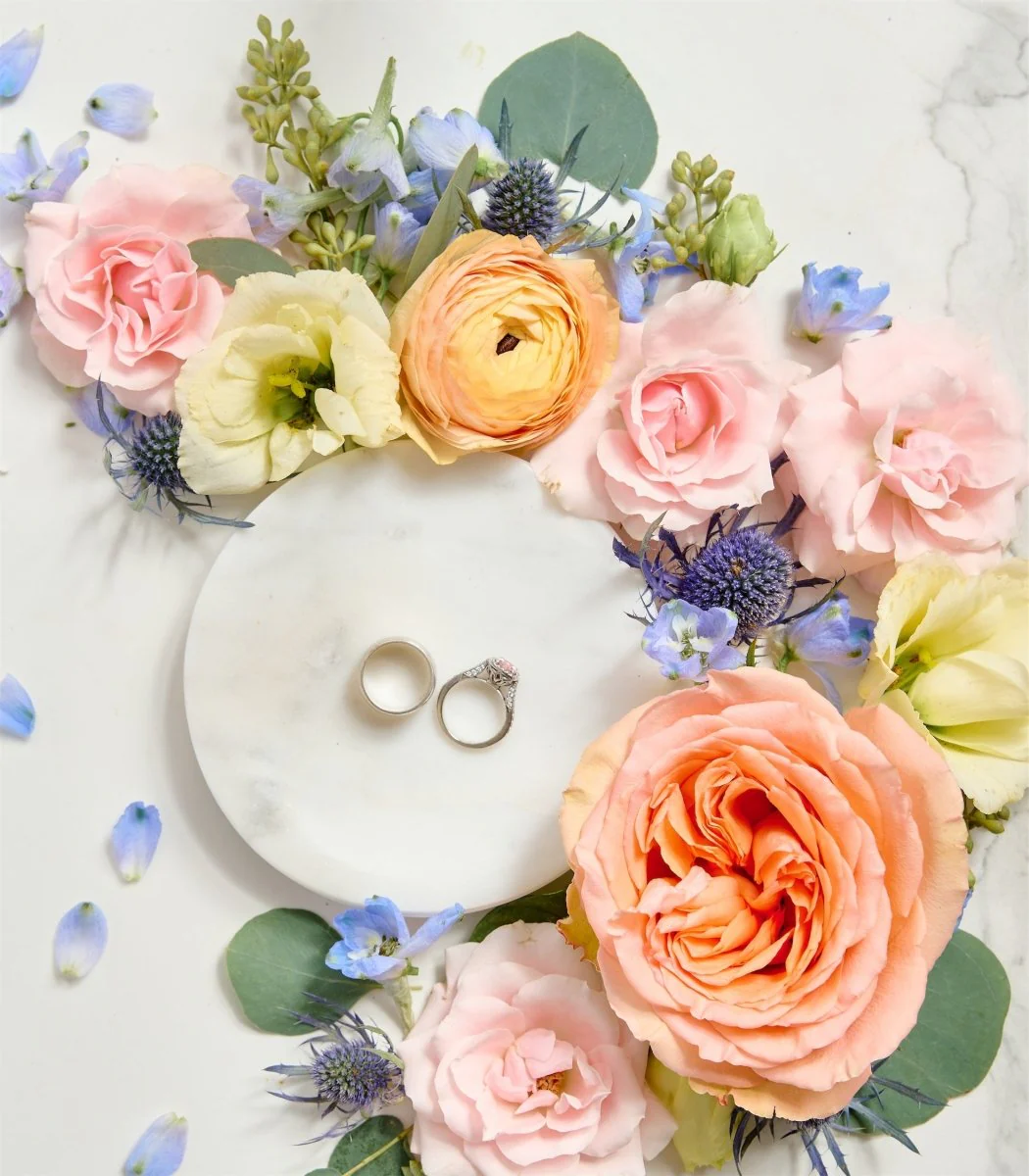 Photographer Blooms Colorful