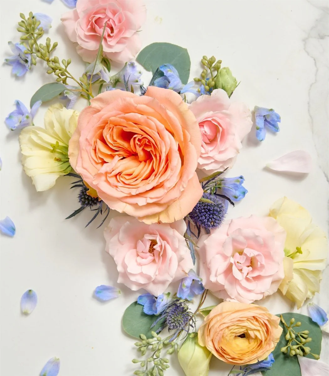 Photographer Blooms Colorful - Image 2
