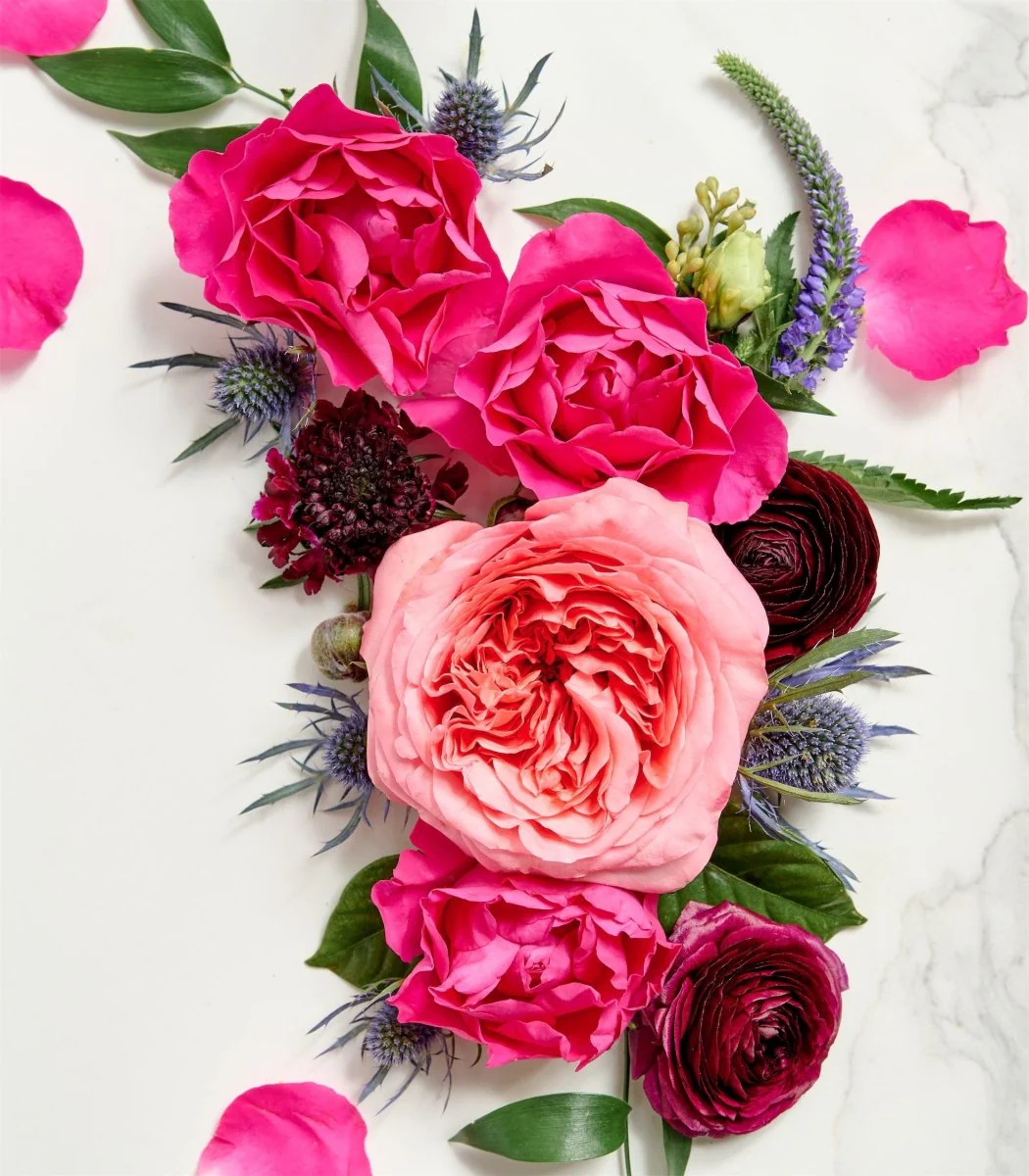 Photographer Blooms Jewel - Image 2