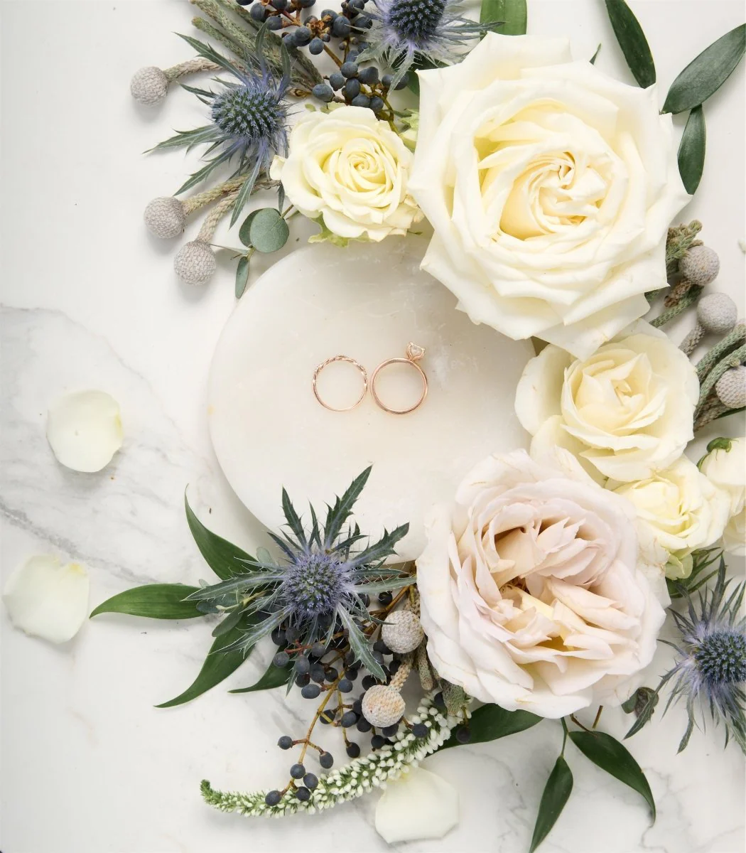 Photographer Blooms Seasonal Alpine