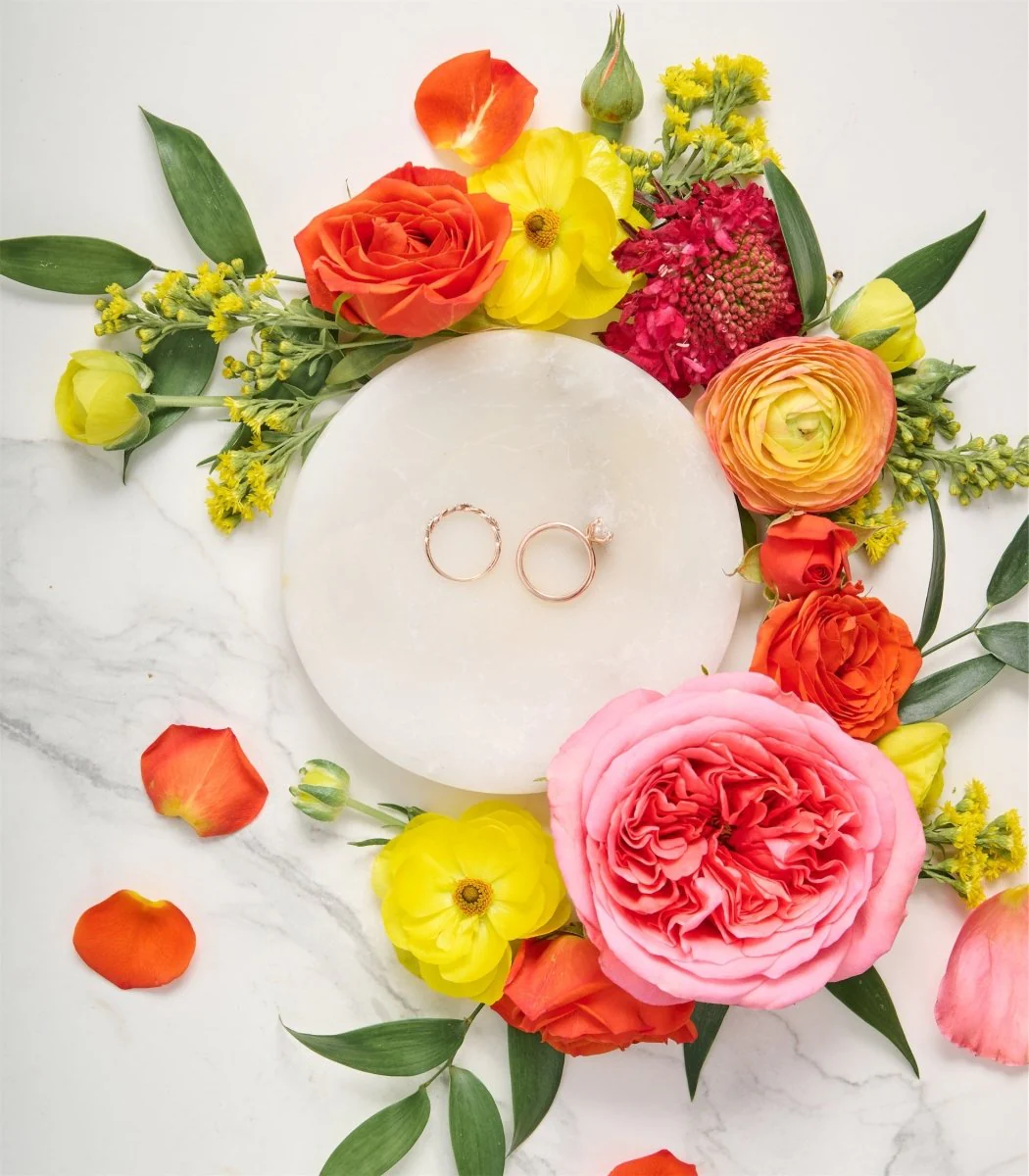 Photographer Blooms Seasonal Garden
