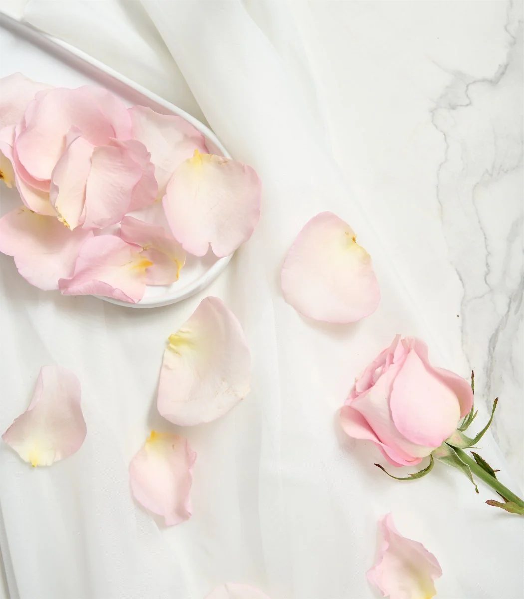Rose Petals in Blush